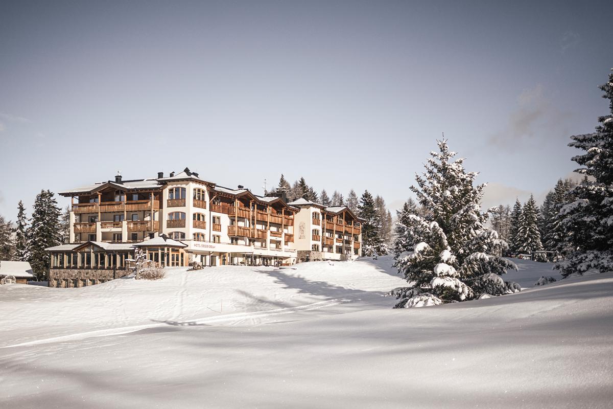 Hotel Steger - Dellai