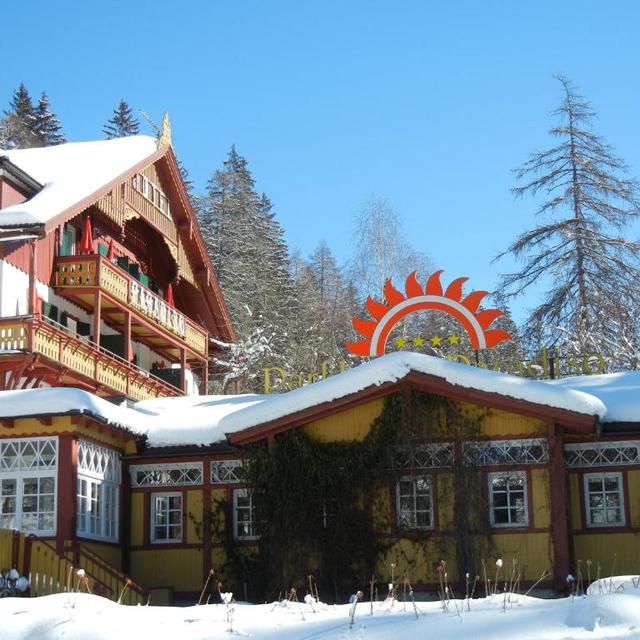 Parkhotel Sole Paradiso - hotel - Afbeelding 12