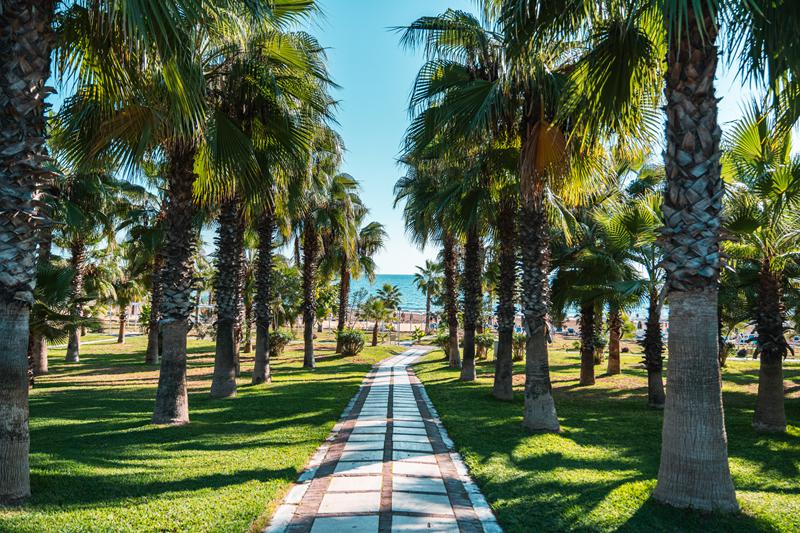 8 Dagen logies Hotel Sural Resort