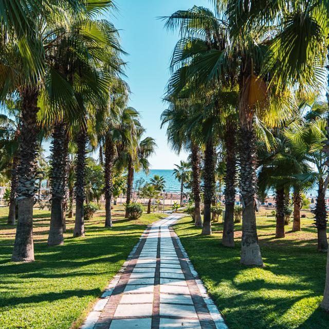 hotel-sural-resort
