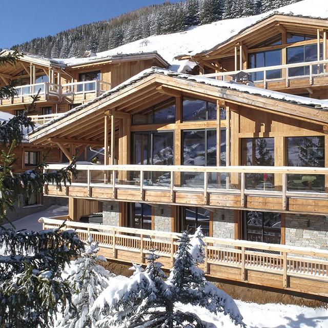 Chalet La Panthère des neiges