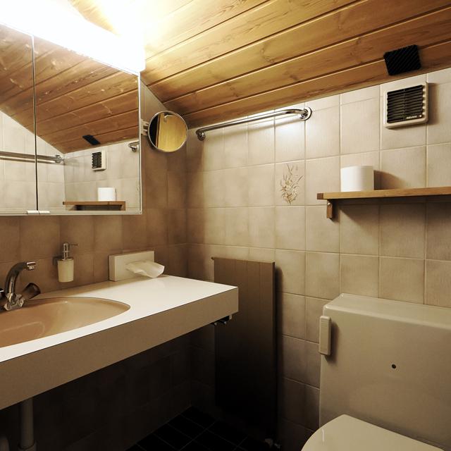 holiday-apartment-alpina-parpan