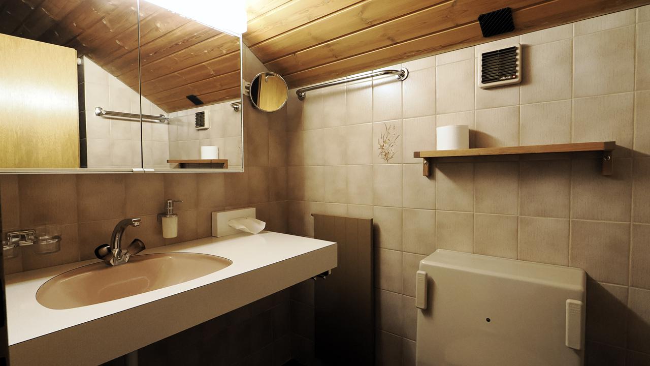 8 Dagen logies/ontbijt Holiday Apartment Alpina Parpan