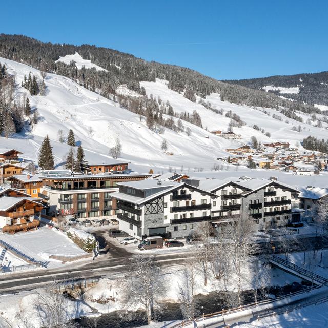 Hotel and Villa Austria - Afbeelding 10