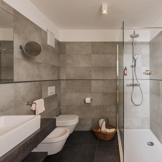Hotel Dolomitenhof - Afbeelding 8