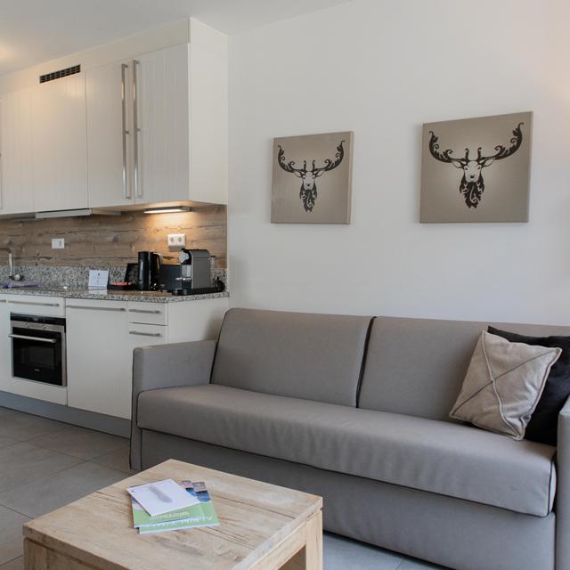 Ski & Golf Suites Zell am See - Afbeelding 17