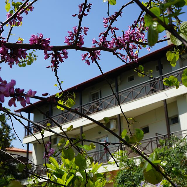 Hotel Morfeas