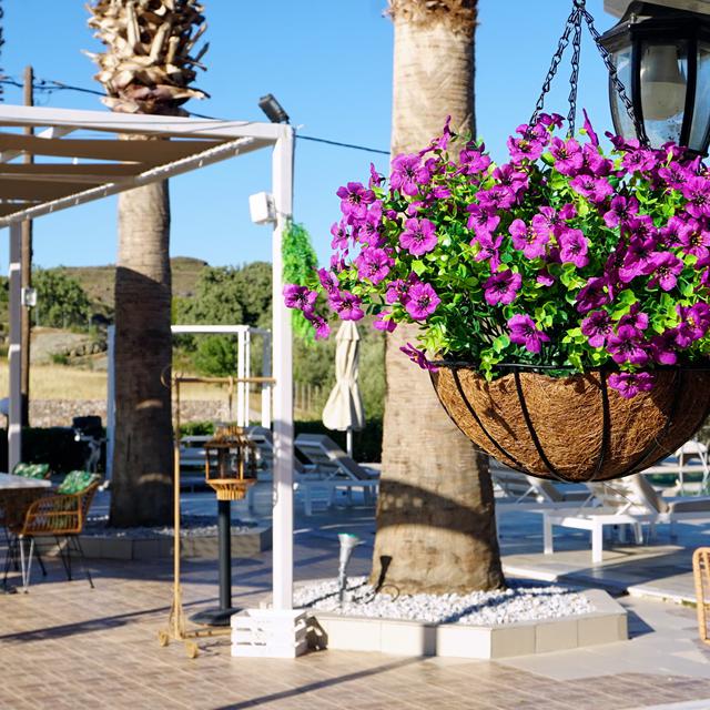 appartementen-marilena