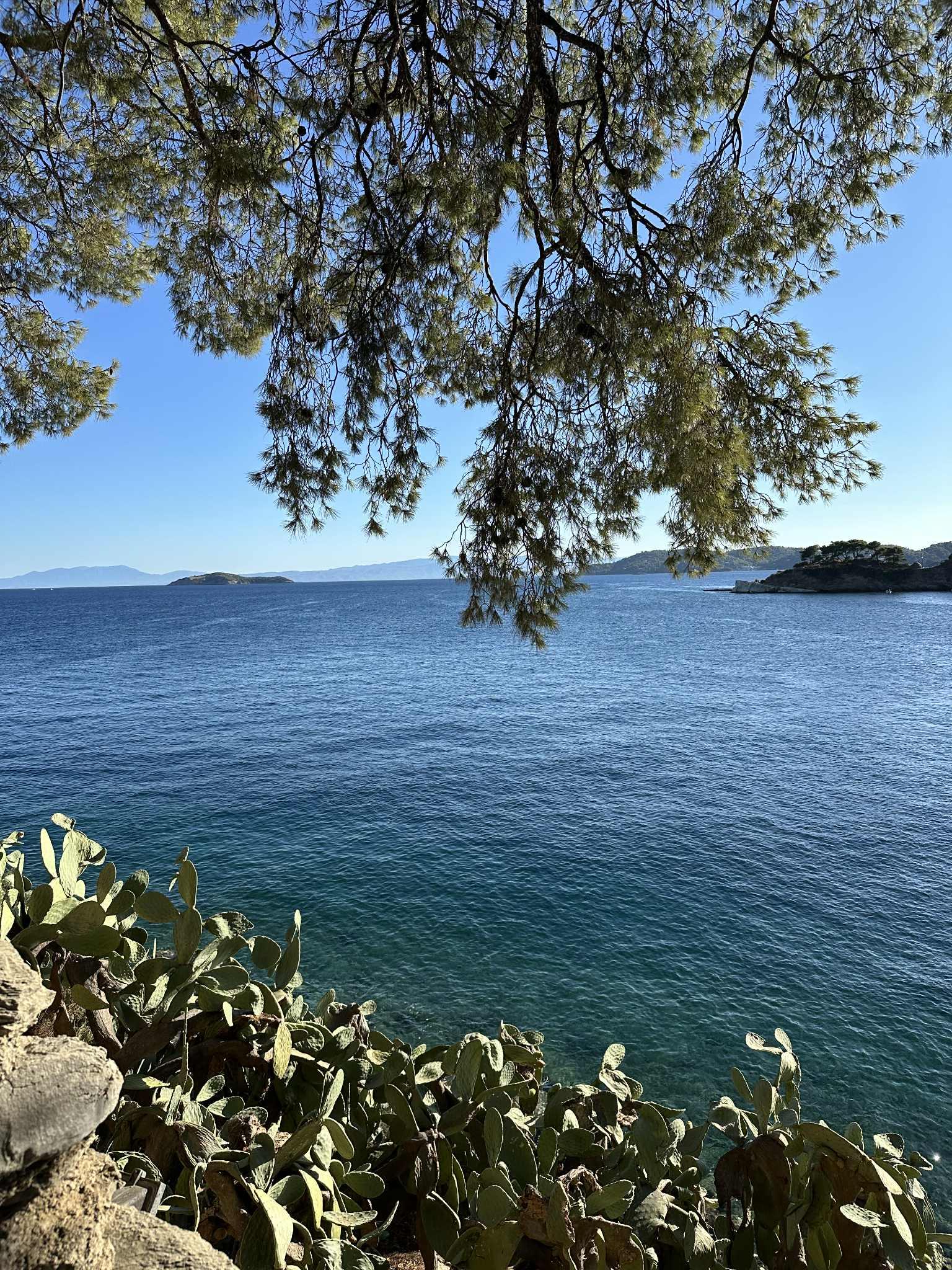 Skiathos-Stad Foto: 3 van 4