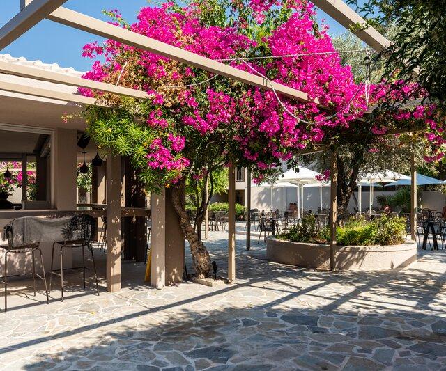 white-olive-premium-lindos