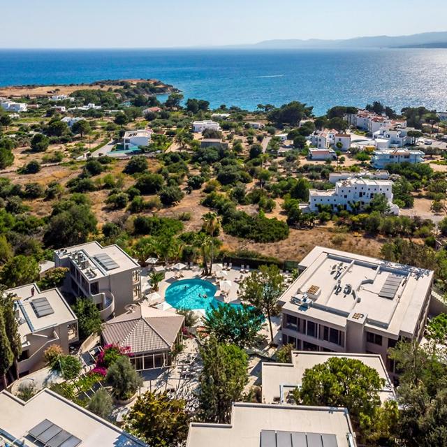 white-olive-premium-lindos