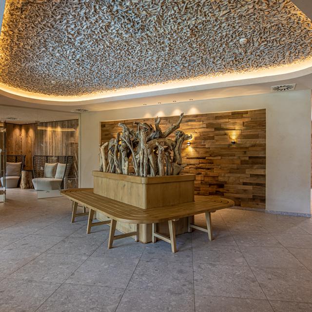 Mountain & Spa Resort Der Alpbacherhof - Afbeelding 21