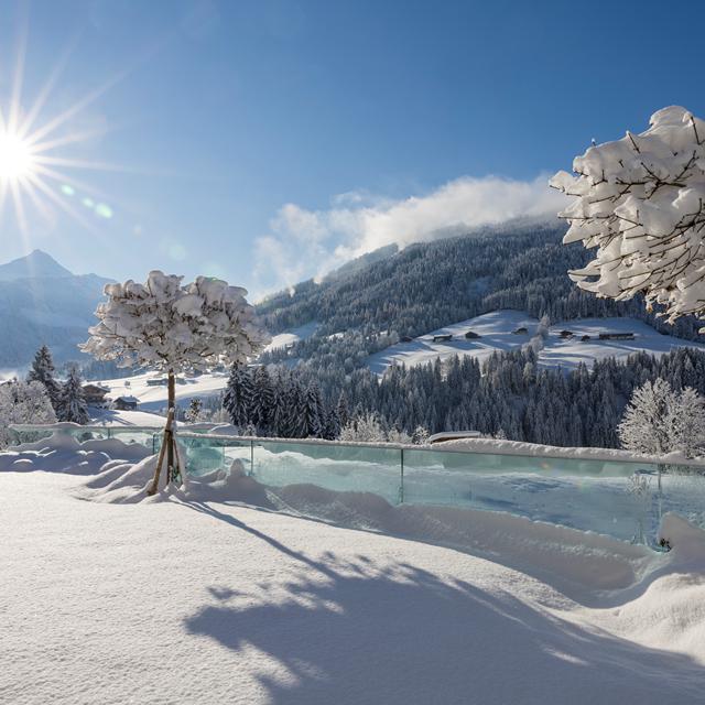 Mountain & Spa Resort Der Alpbacherhof - Afbeelding 9