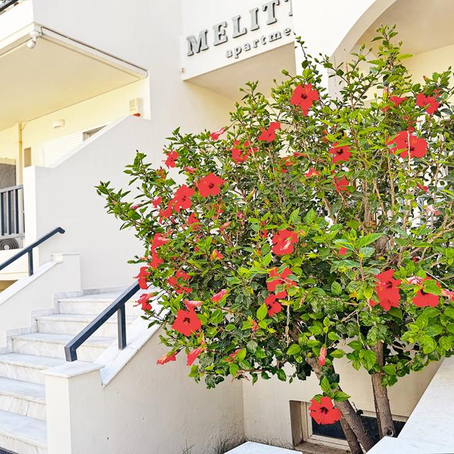 Melitti Studios Apartments