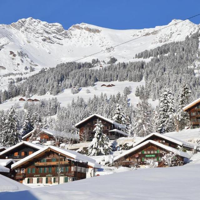 Hotel Les Sources - Afbeelding 11