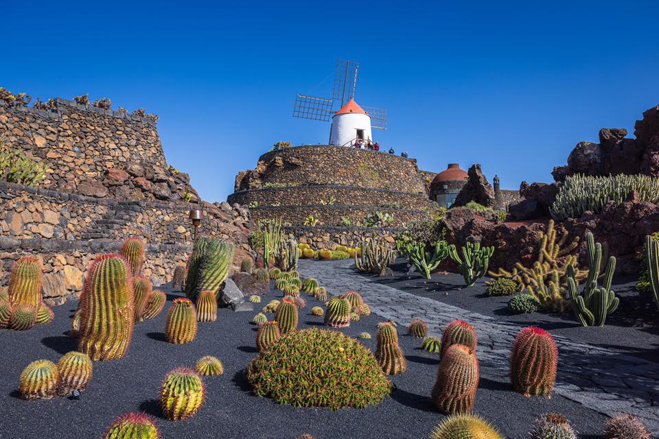Lanzarote Foto: 2 van 5