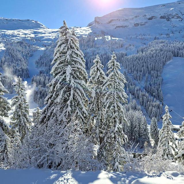 Résidence Castor in Flaine - foto 7
