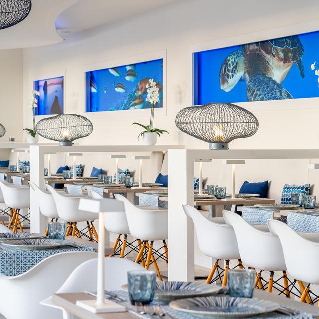 Hovima Cool Costa Adeje adults only