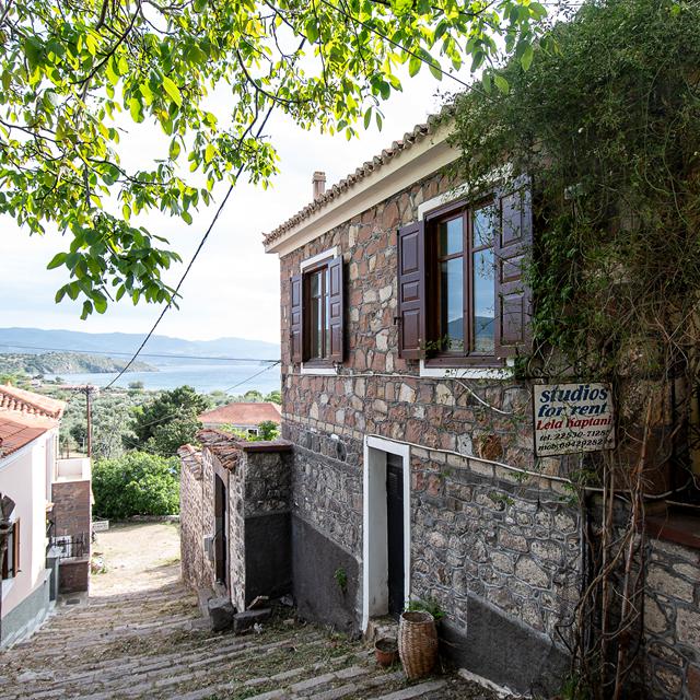 Studio's Lela's Kaptani Molivos