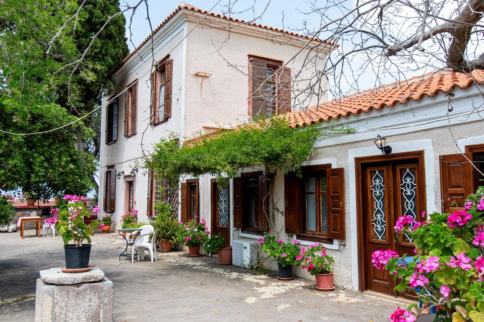 Appartementen Lela Kaptani Eftalou Olive Grove