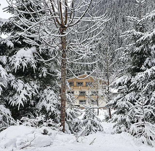 Frühstückspension Waldeck in Mayrhofen - foto 8