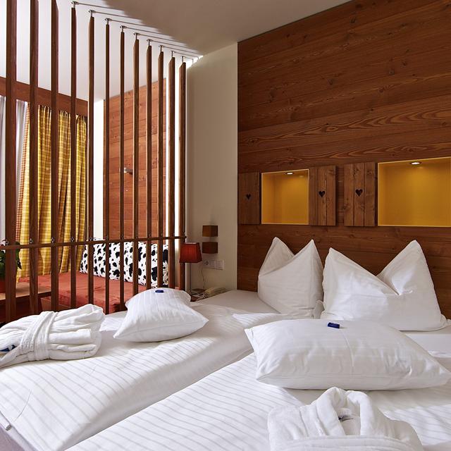 Falkensteiner Hotel Sonnenalpe in Hermagor - foto 6
