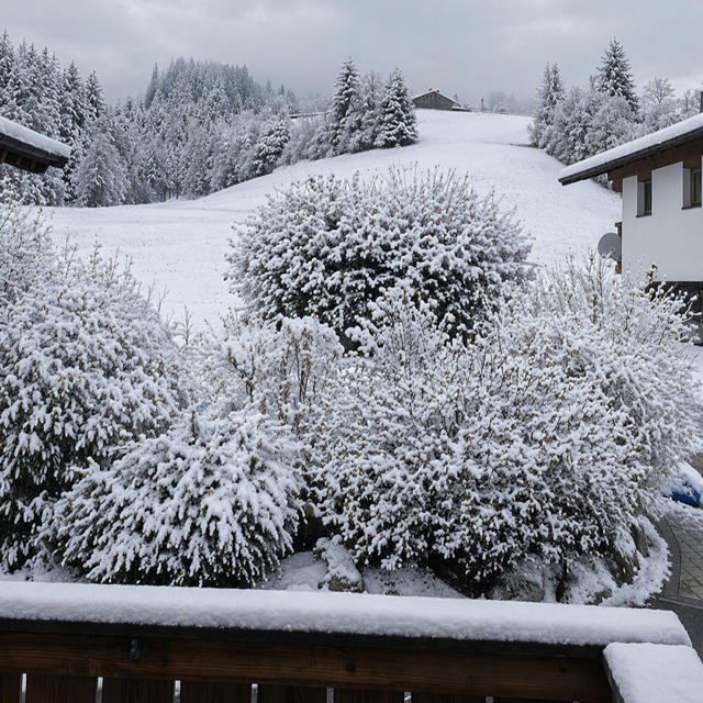 Appartementen Hack in Kirchberg - foto 12