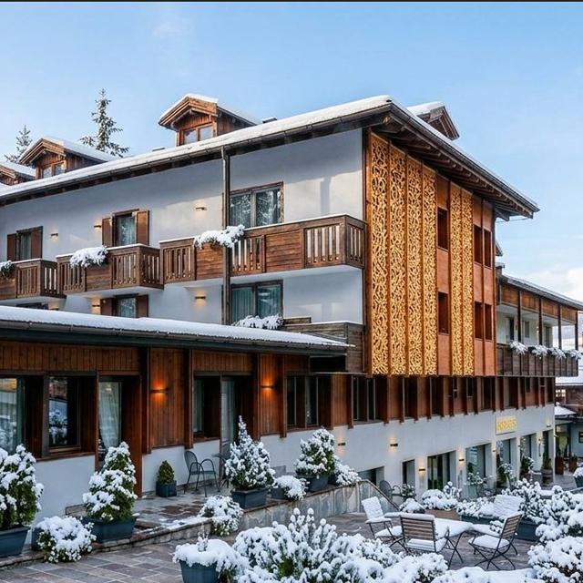 Hotel Caminetto.