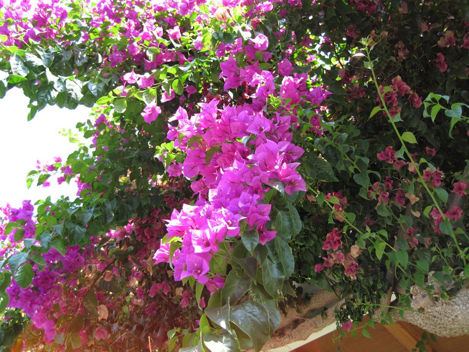Vliegticket Kefalonia Foto: 2 van 3