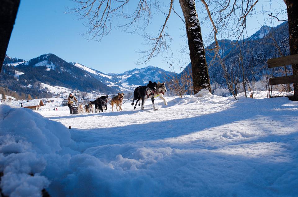 Châtel Foto: 4 van 4