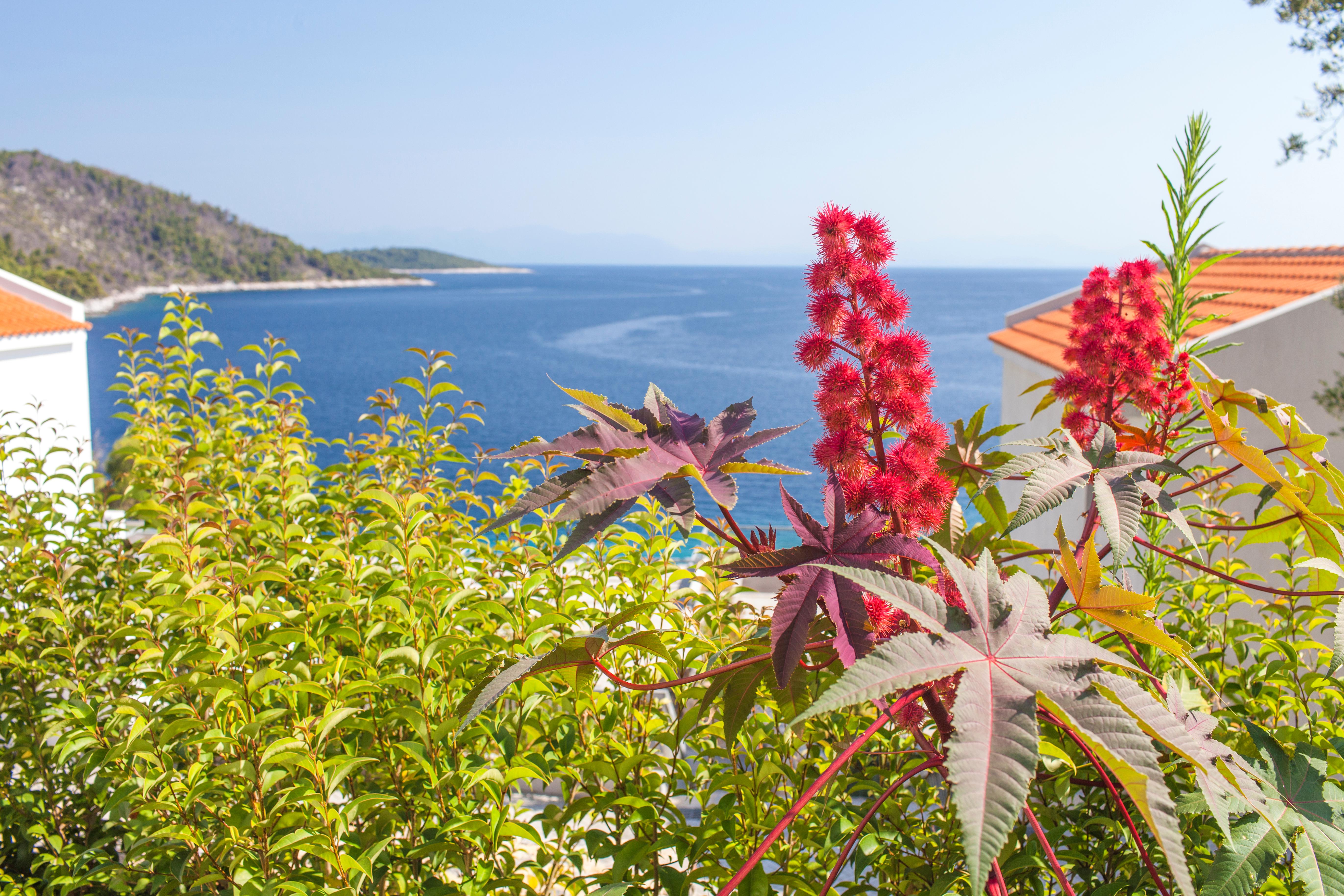 Skopelos Foto: 5 van 5