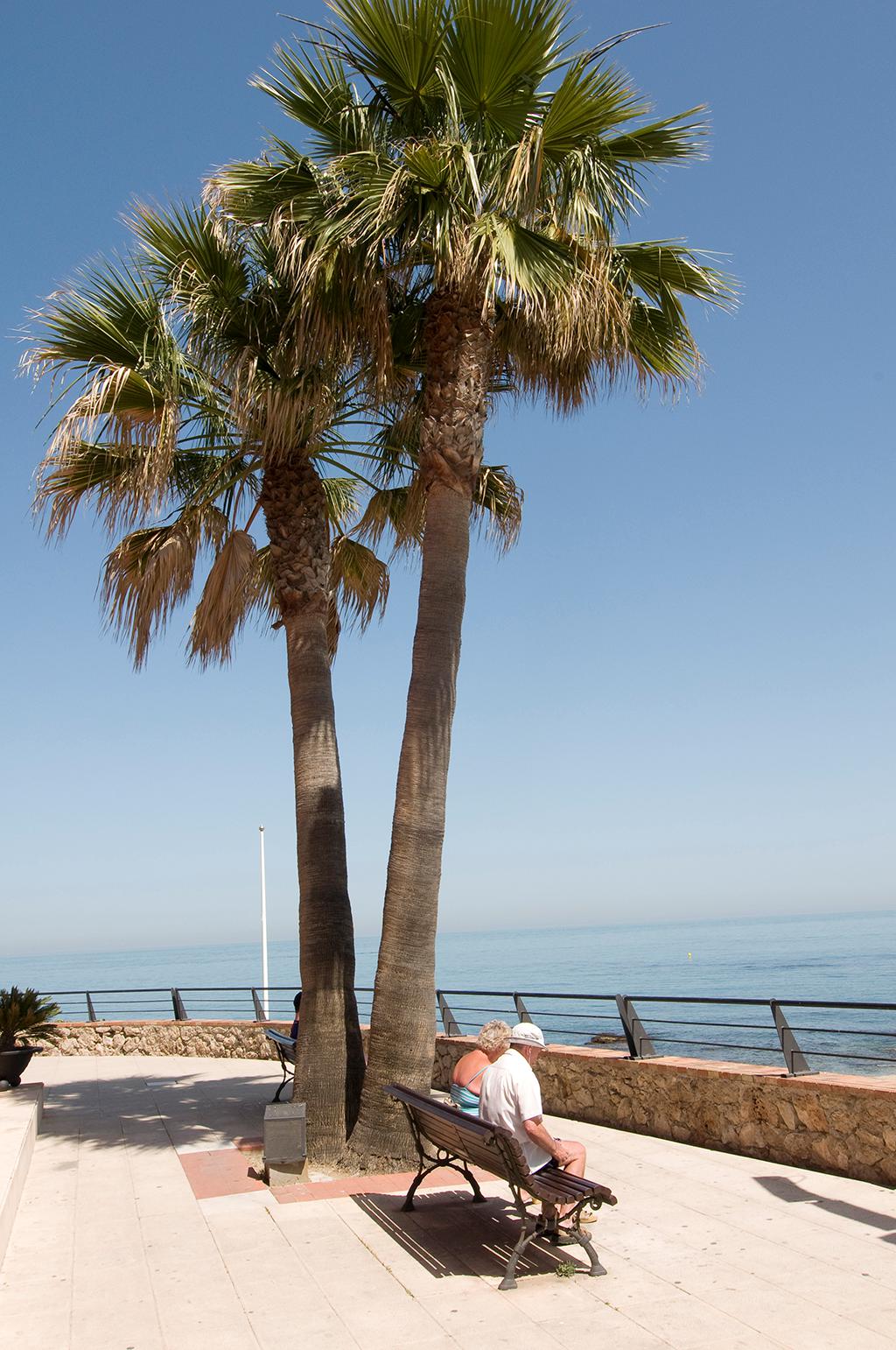 Isabel, Content Support