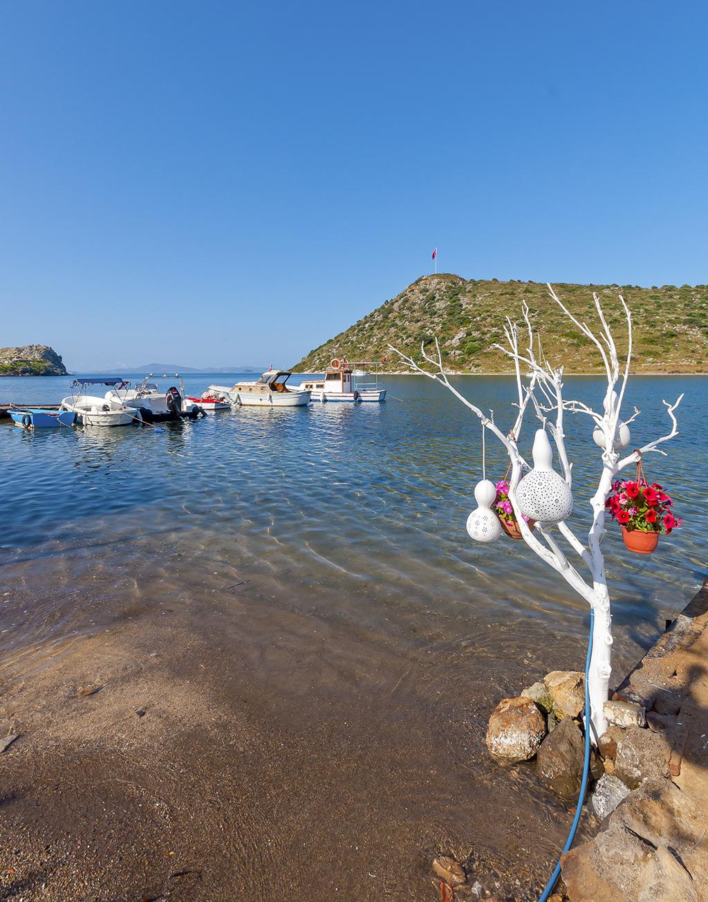 Anne, Vakantieredactie Zon