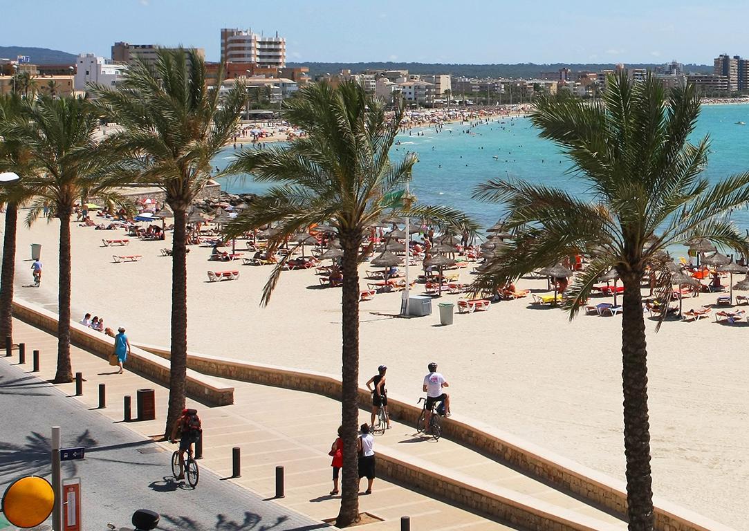 Isabel, Content Editor